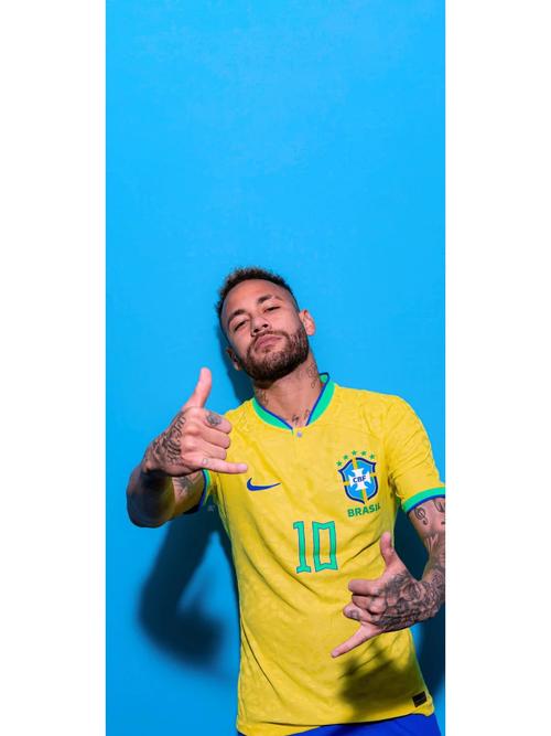 官方：澳大利亚裁判组执法海港客战柔佛，埃文斯担任主裁判